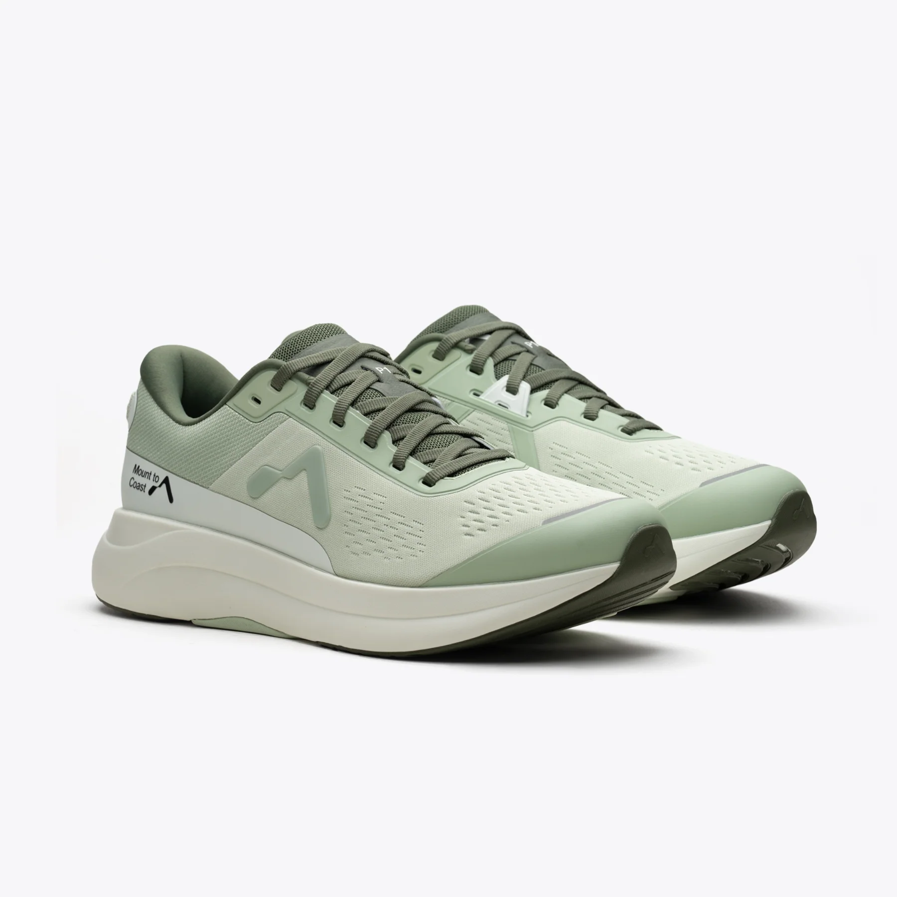 P1 Agave - Image 5
