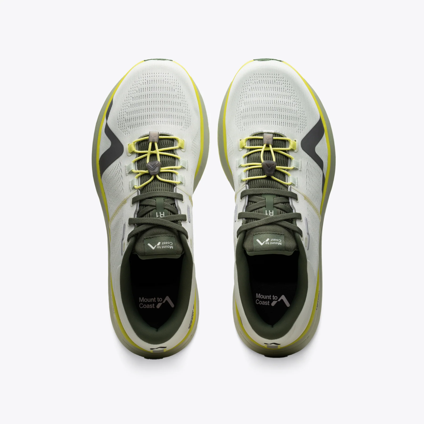 R1 Agave - Image 6