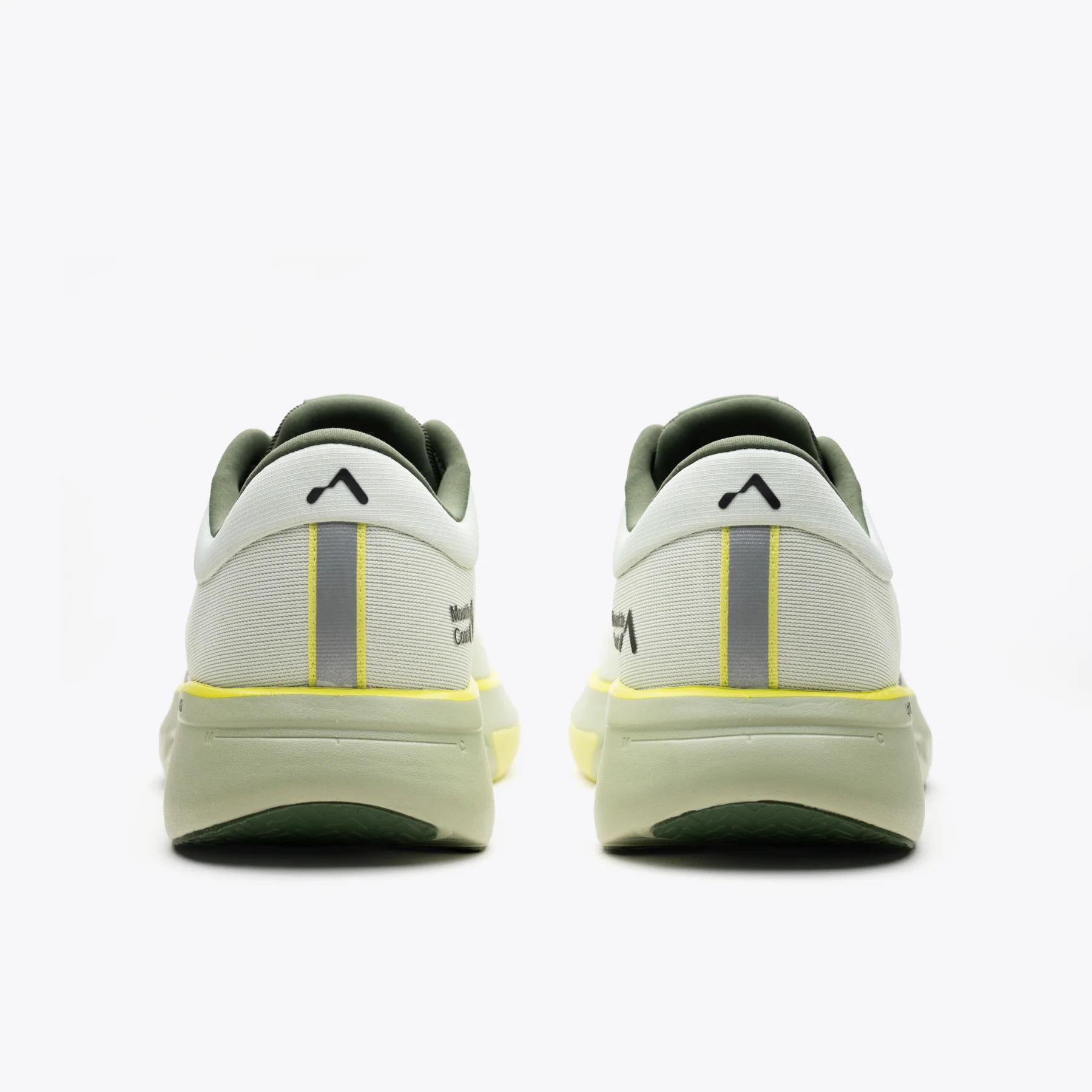 R1 Agave - Image 5