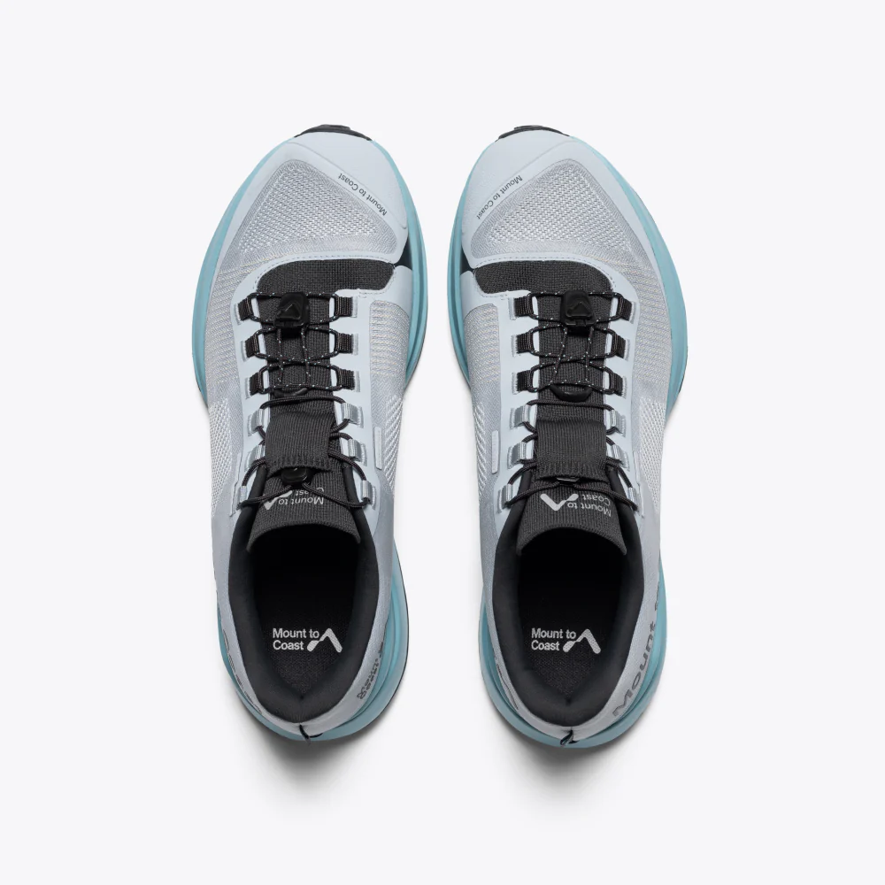 T1 - Image 5