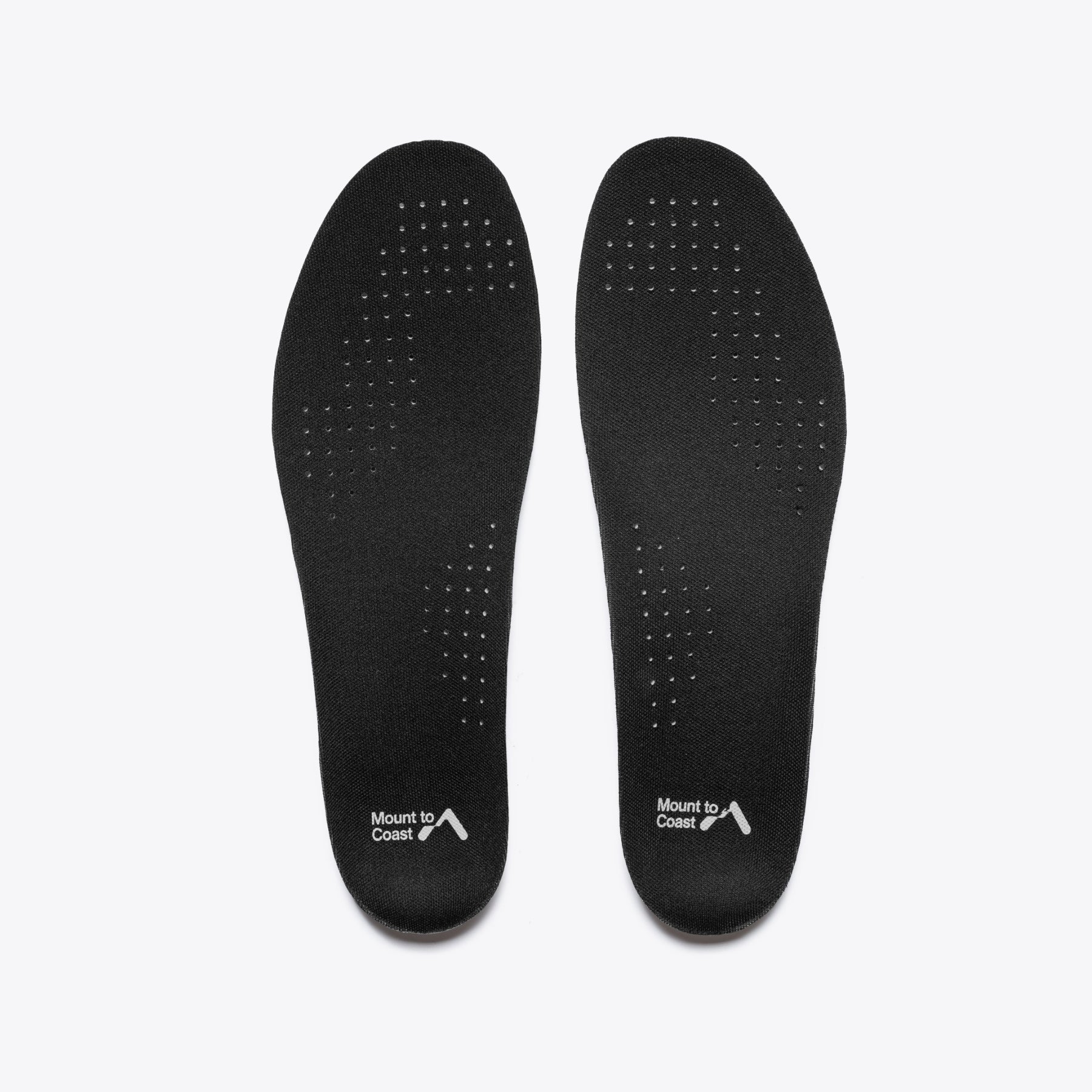 T1 - Image 10