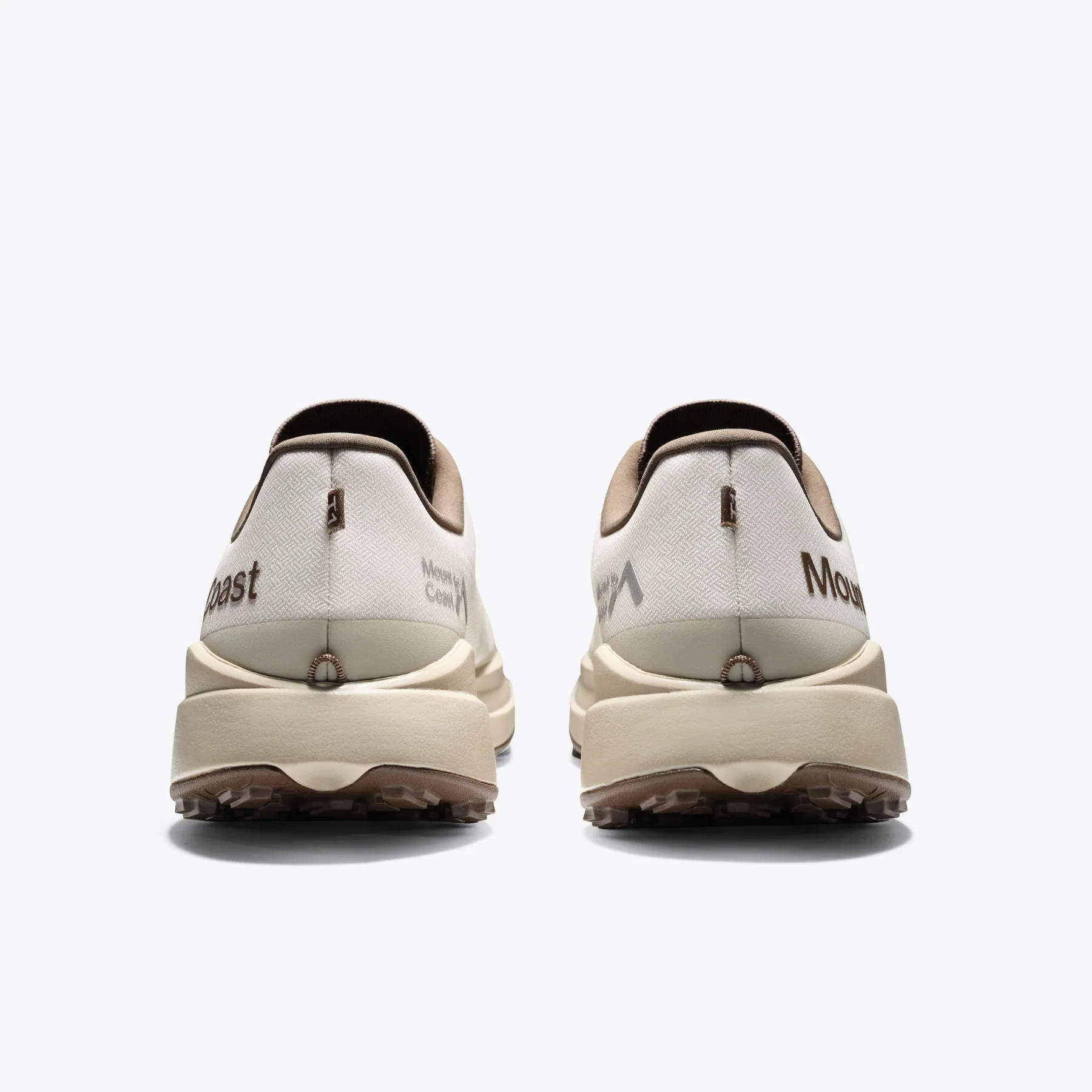 T1 - Image 19