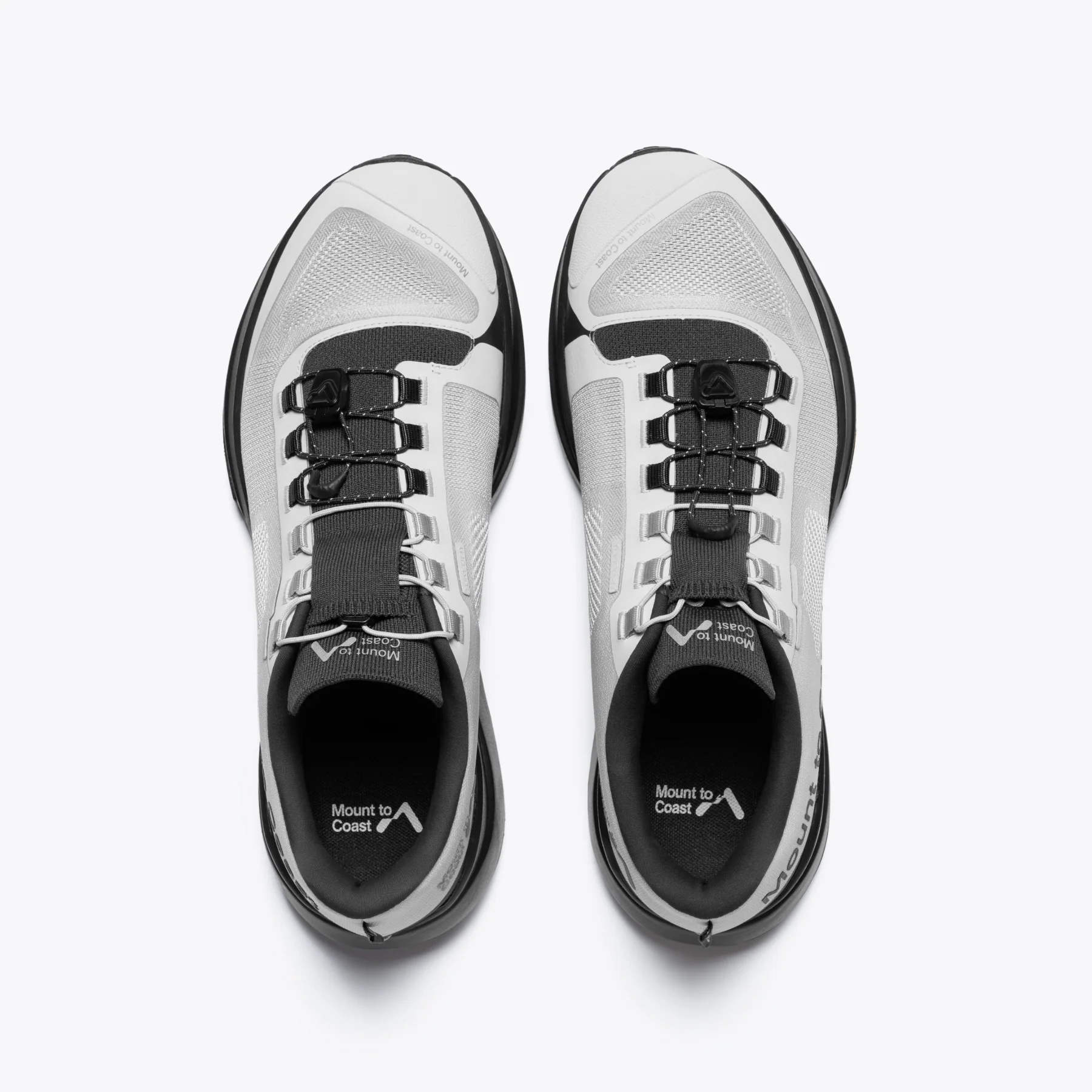 T1 - Image 5